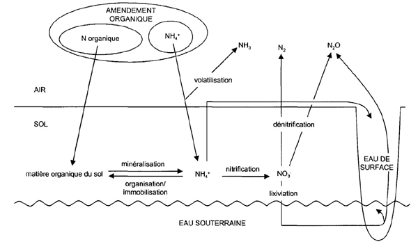 Figure 3. Dynamique de lazote et pertes  lenvironnement (adapt de Nicolardot et al. 2003).