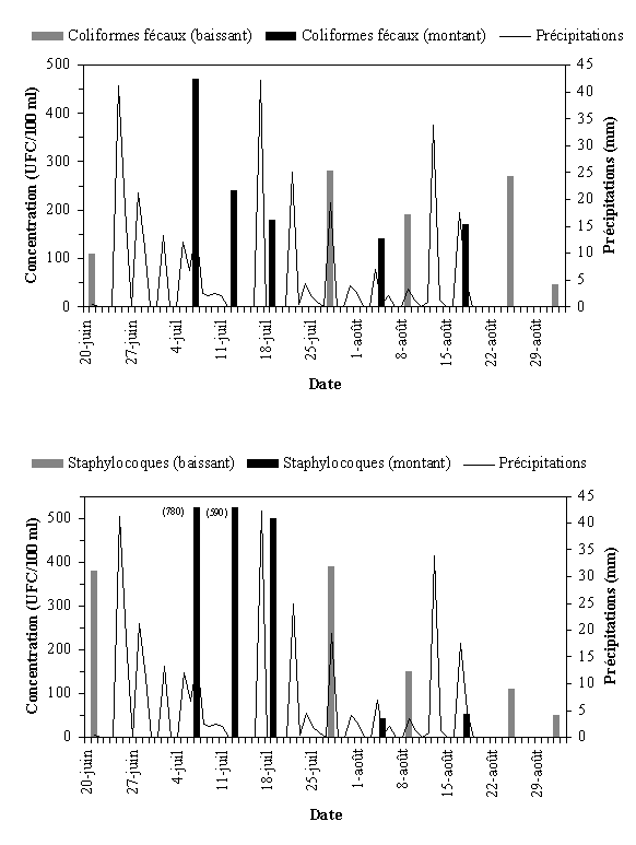 Annexe 3.16 : Qualit bactriologique du site de lanse Gingras, t 1999