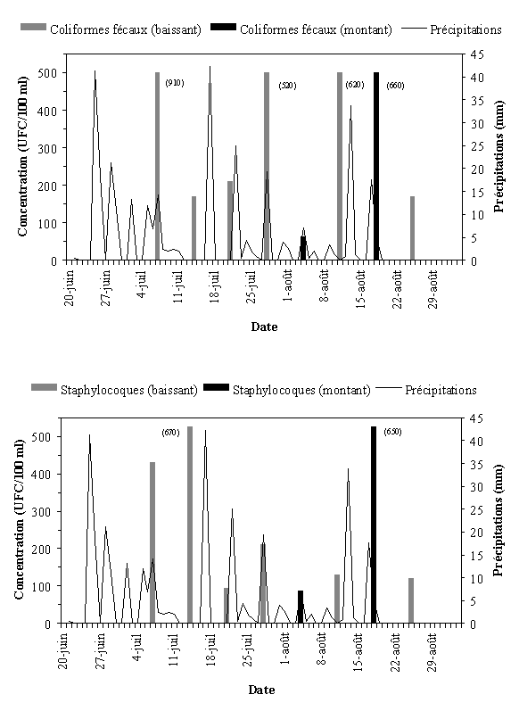 Annexe 3.17 : Qualit bactriologique du site de lanse au Foulon Ouest, t 1999