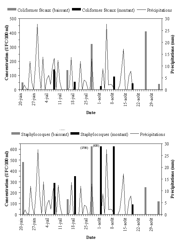 Annexe 3.19 : Qualit bactriologique du site de l'anse Tibbits, t 1999