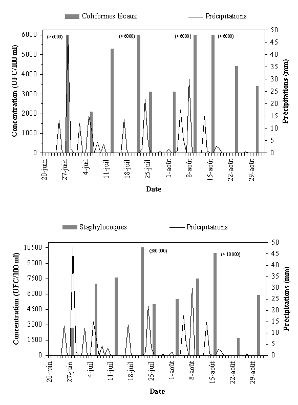 Annexe 3.6 : Qualit bactriologique du site de lle  la Pierre (les de Sorel), t 1999