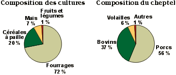 Composition des cultures / Composition du cheptel