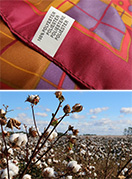 « Polyester » écrit dans plusieurs langues sur l'étiquette d'un foulard et champ de coton